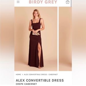 Birdy Grey Cabernet Alex Dress in Crepe Material